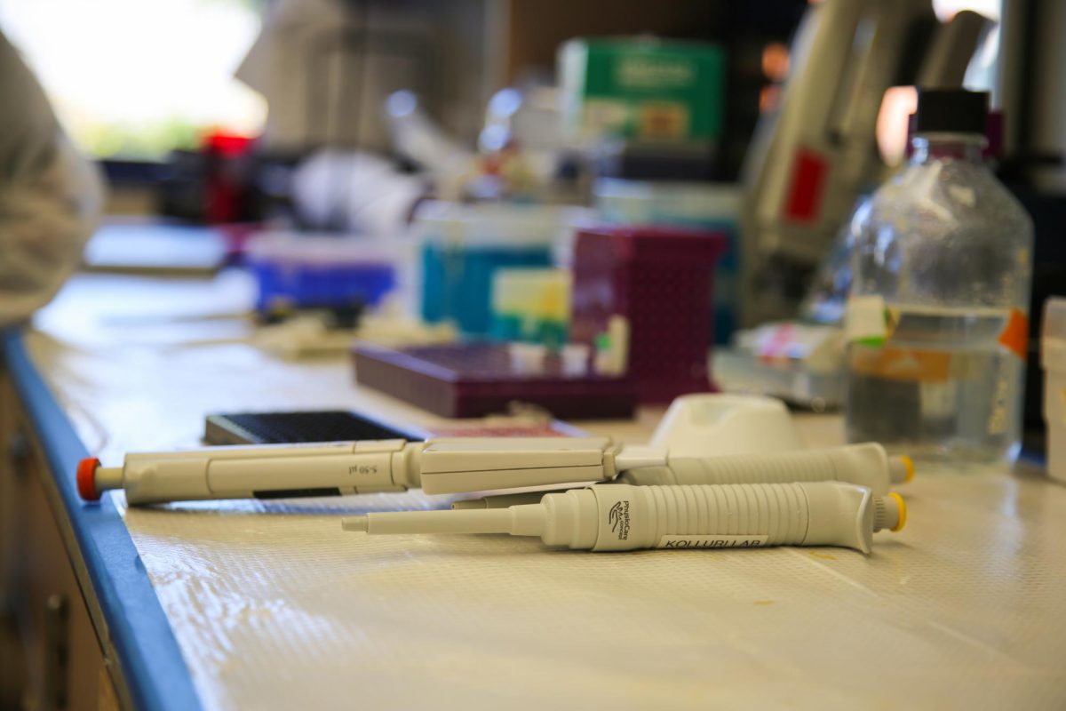 Pipettes lay on the counter of the Kolluri Lab on July 24.