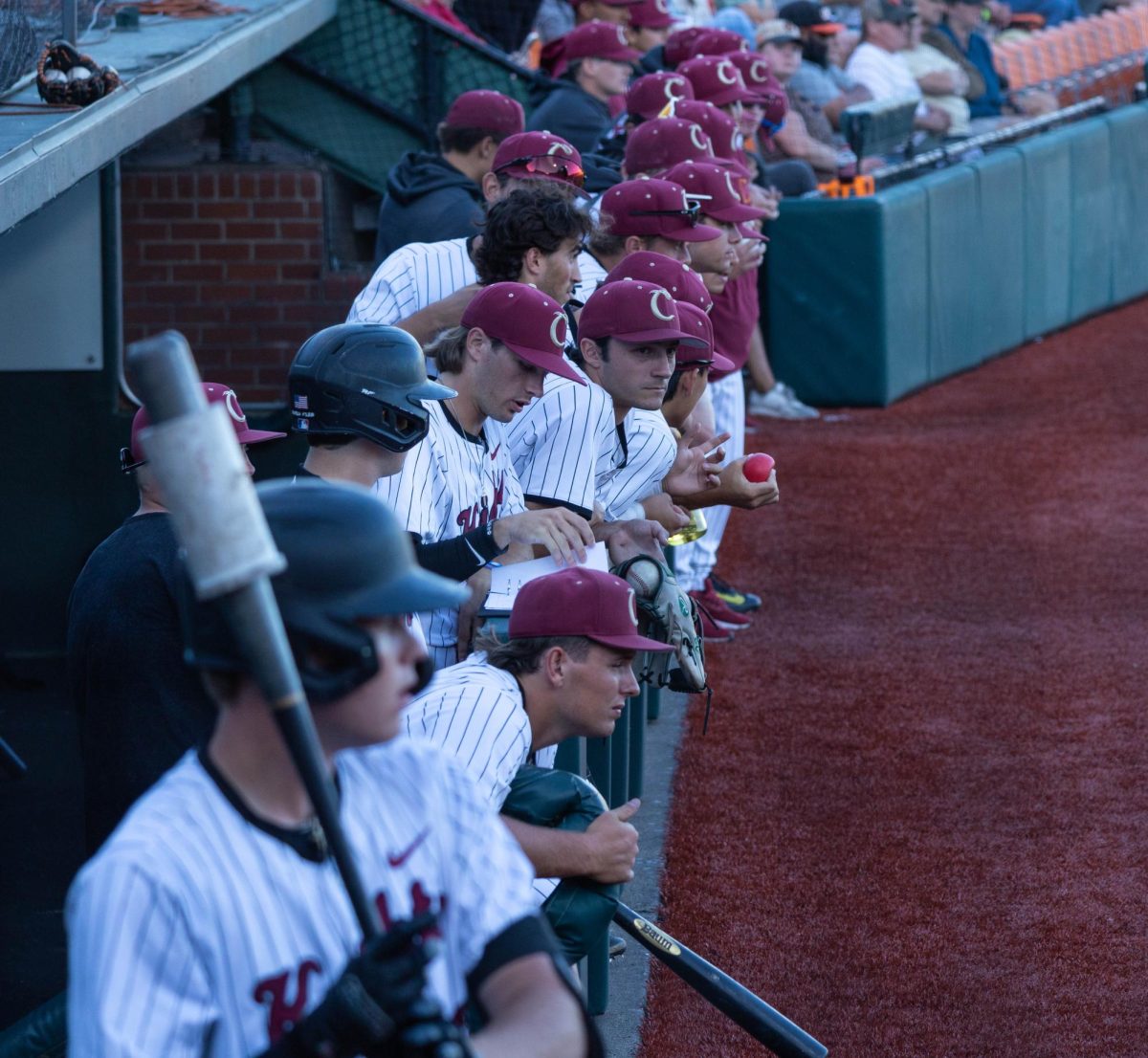 The Corvallis Knights watch their offensive turn vs the Ridgefield Raptors from the dugout in Goss Stadium at Oregon State University in Corvallis, OR, on July 24, 2024. 