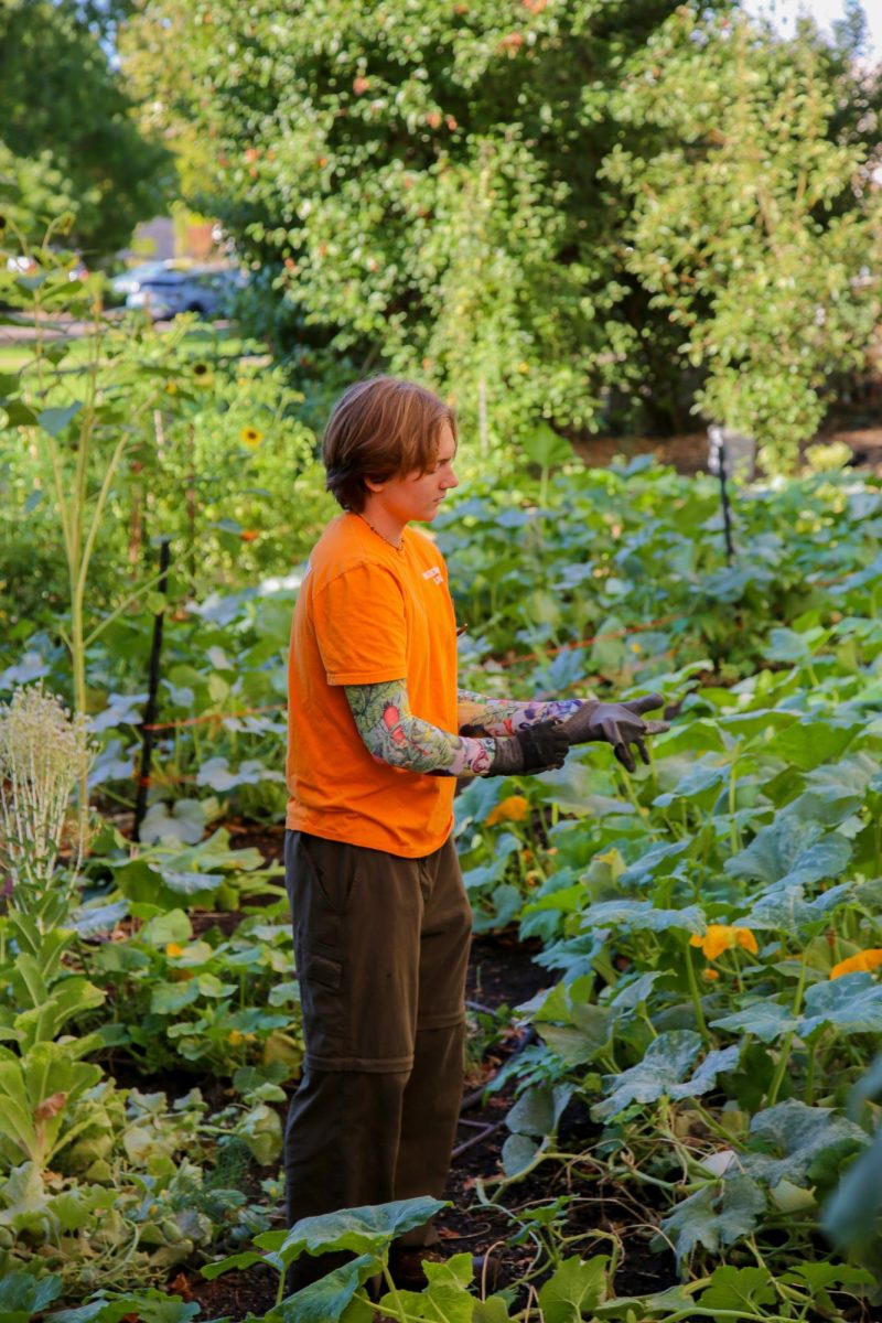 Milo Tisdale, the curator and caretaker of the Callahan Food Forest, stands in the forest on Sept 9.