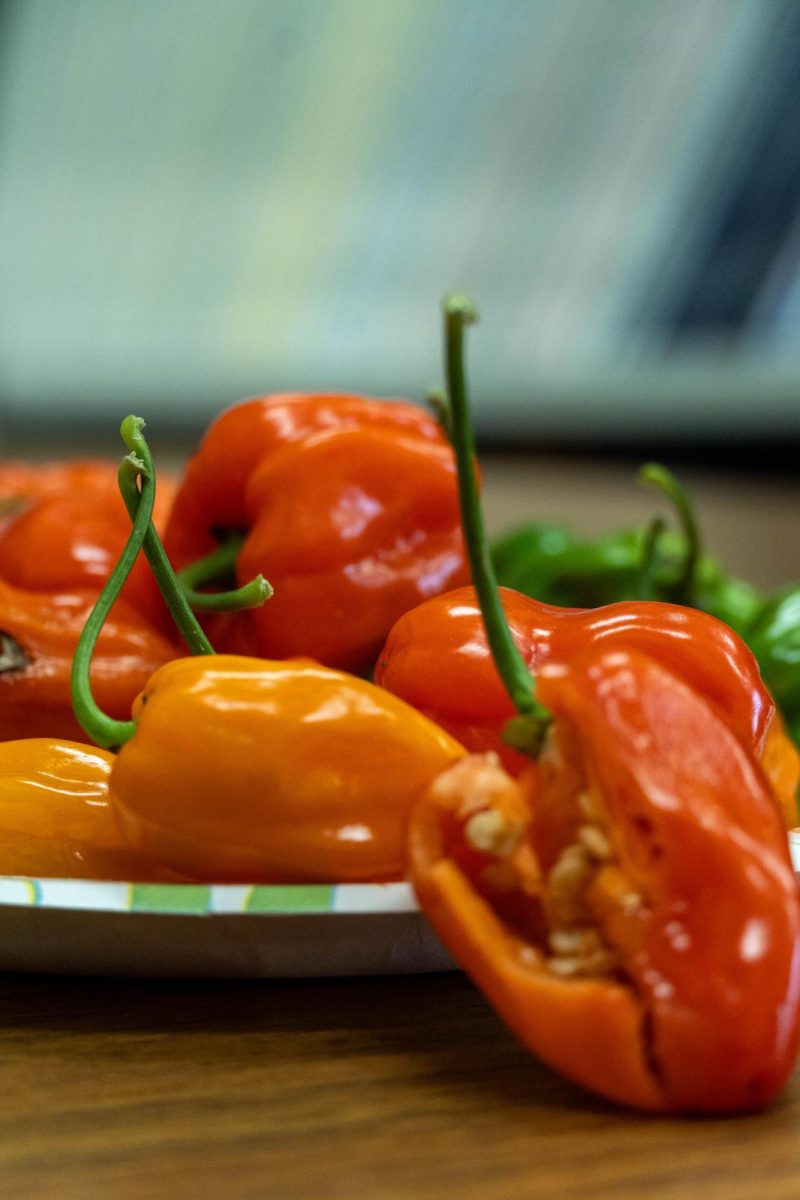 Heatless Habanero's collected on a plate 