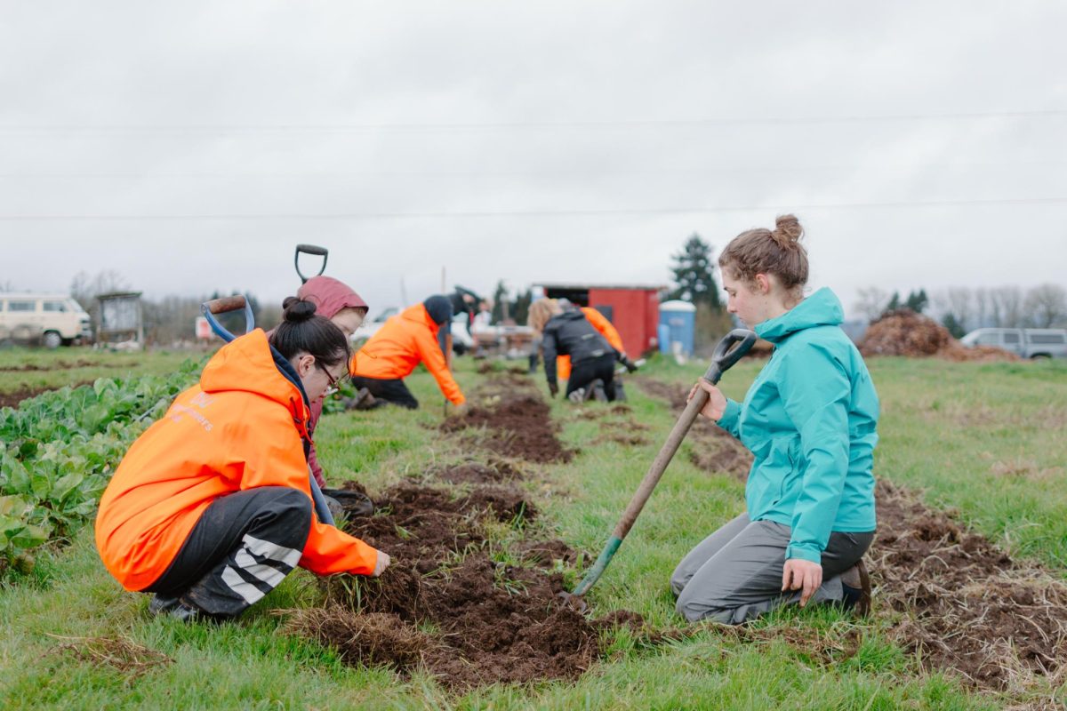 A group of Organic Grower’s Club members work at the student farm for the Sunday Skool event in Corvallis, Oregon on March 10, 2024. (Taylor Cockrell)