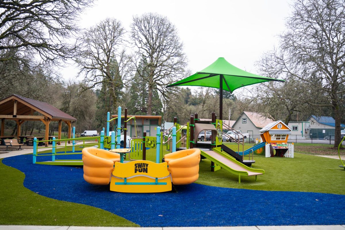 New all inclusive playground located at Avery Park in Corvallis, Oregon on on Jan.08, 2025 is an innovative play space
designed to be accessible for all children.