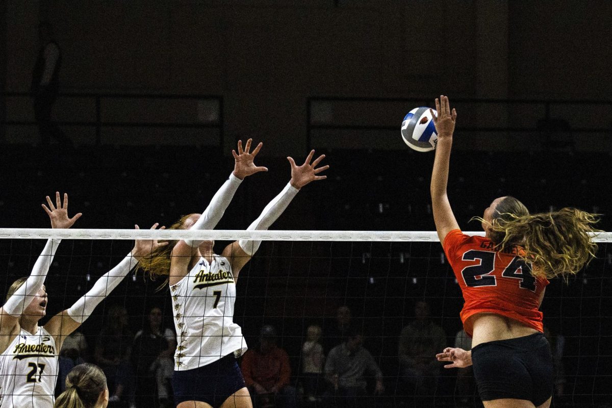Keila Gabriel (24) spikes the ball through two Anteater blockers during their match on Sep. 12 in Gill Coliseum