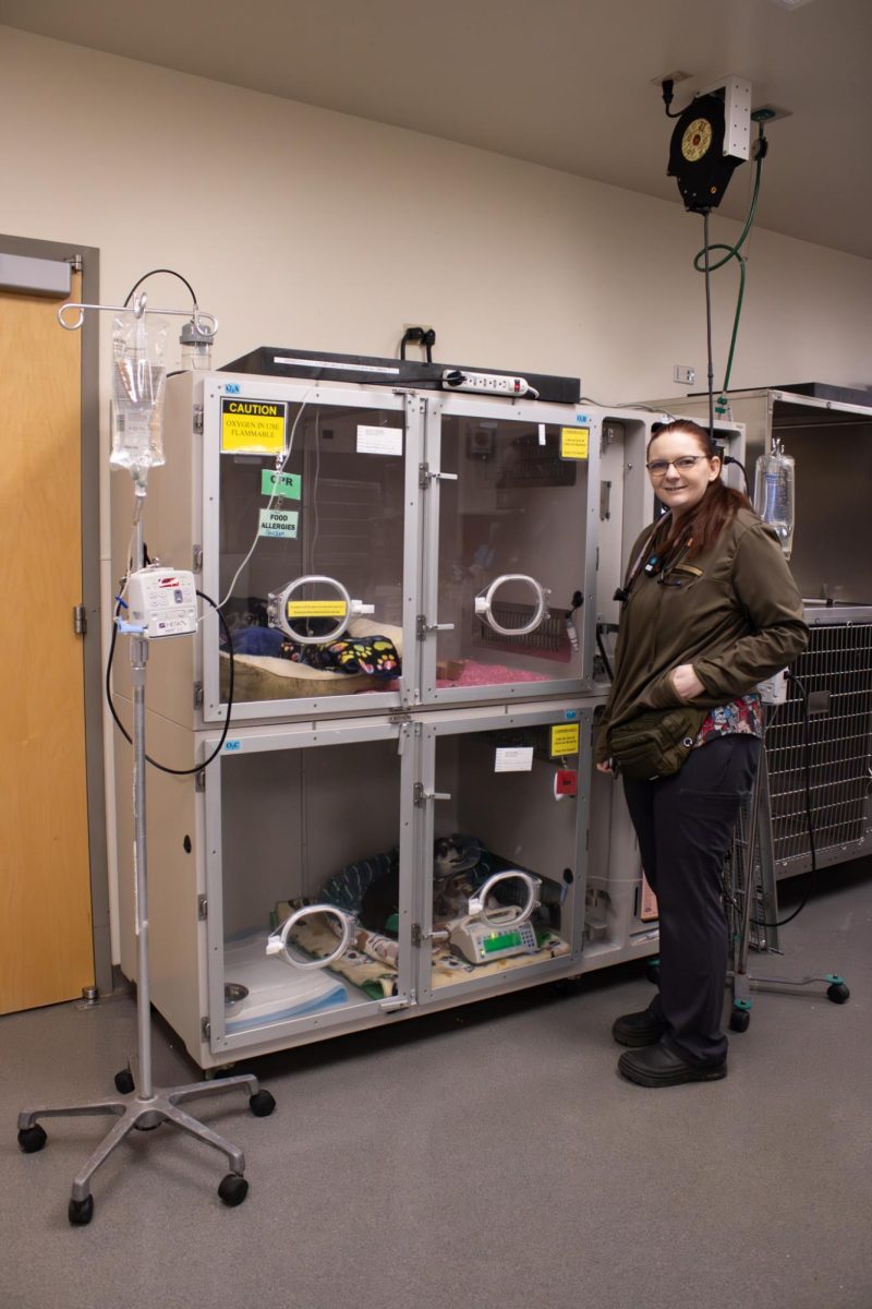 Chrysta Saxton, certified veterinarian technician in Oregon State University’s Small AnimalEmergency and Critical Care intensive care unit stands next to a pet enclosure.