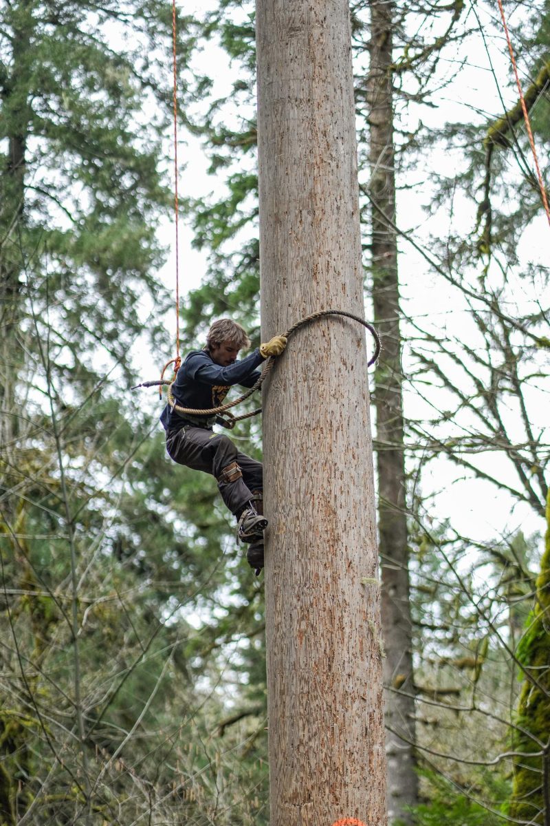 University of Idaho logging sports competitor climbs down a pole during the pole climb event