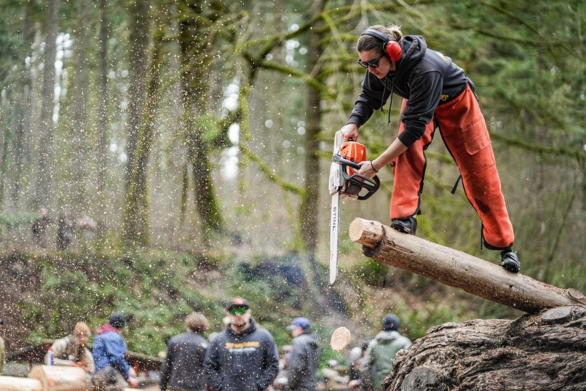 An Oregon State Logging SportsTeam member competes in the standing block chop