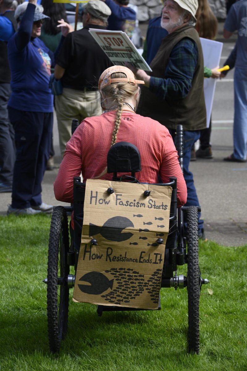 The back of a woman in a wheelchair with a protest sign on the back of her wheelchair.
