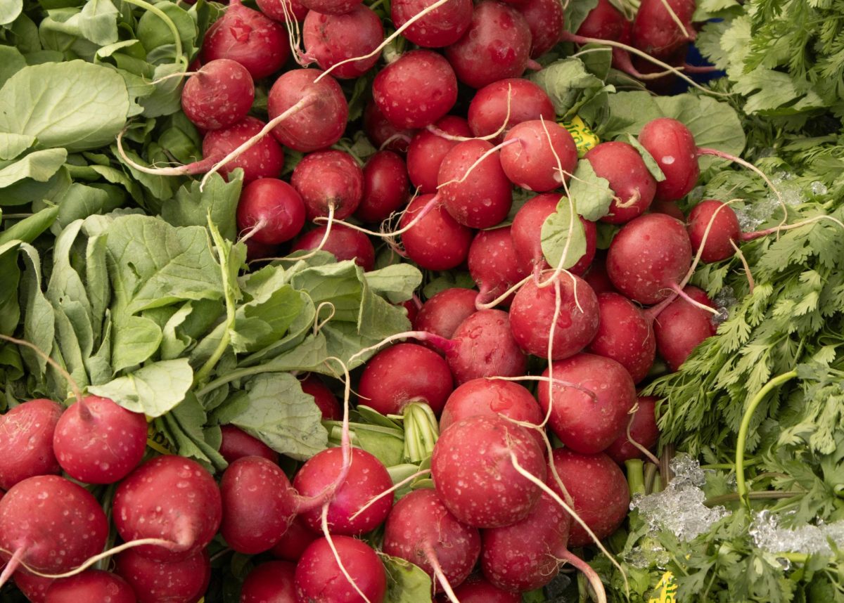 Bundles of radishes sit at the front of a local produce booth.