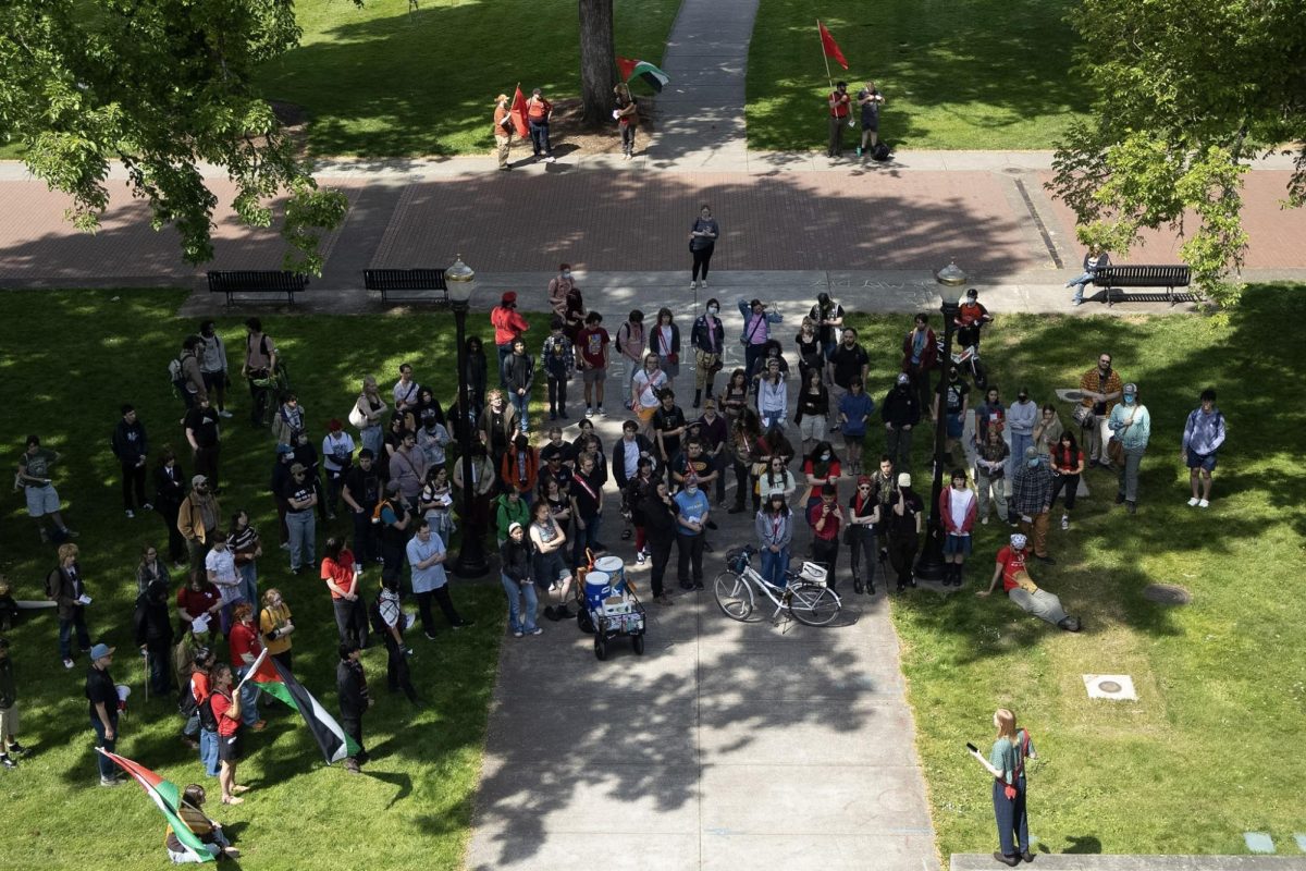 A birds eye view of a crowd of around 70 protesters.