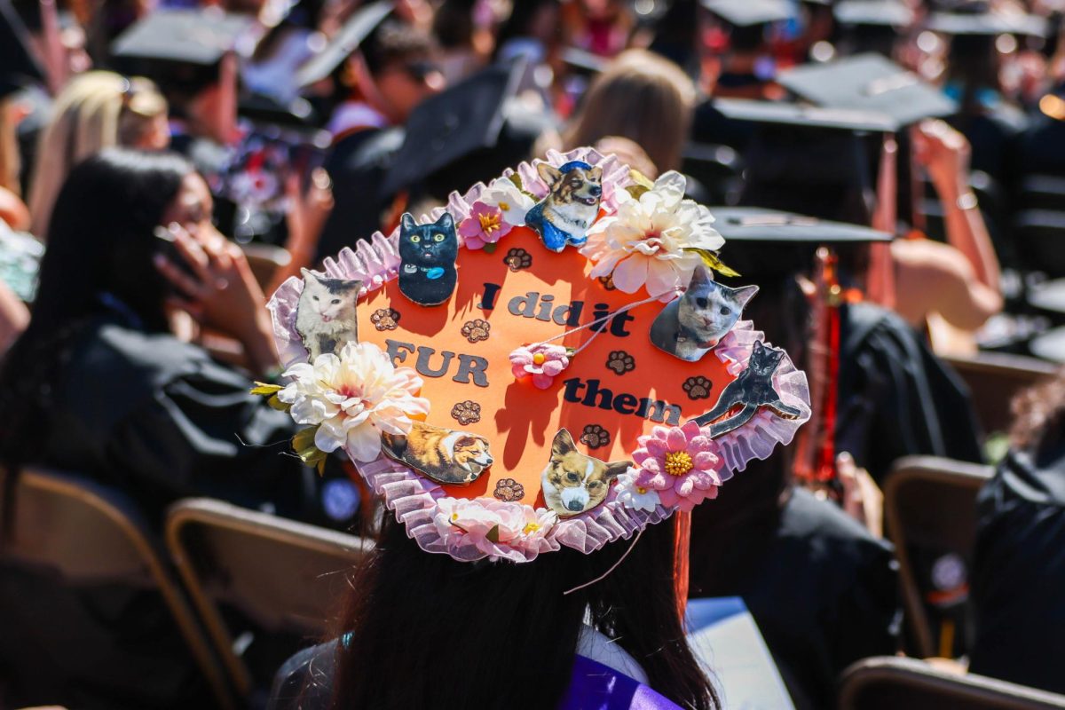 A close up photo of a graduate's decorated cap.