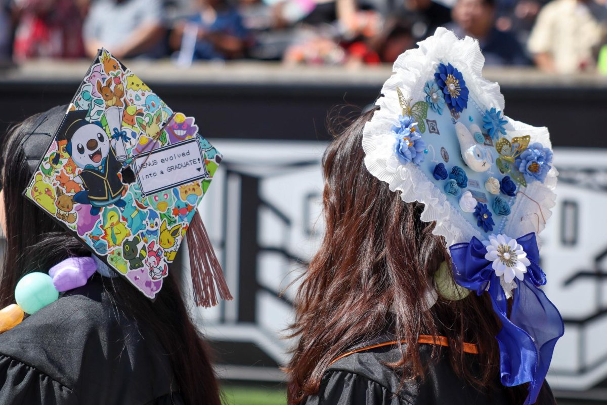 The back of graduates decorated caps.