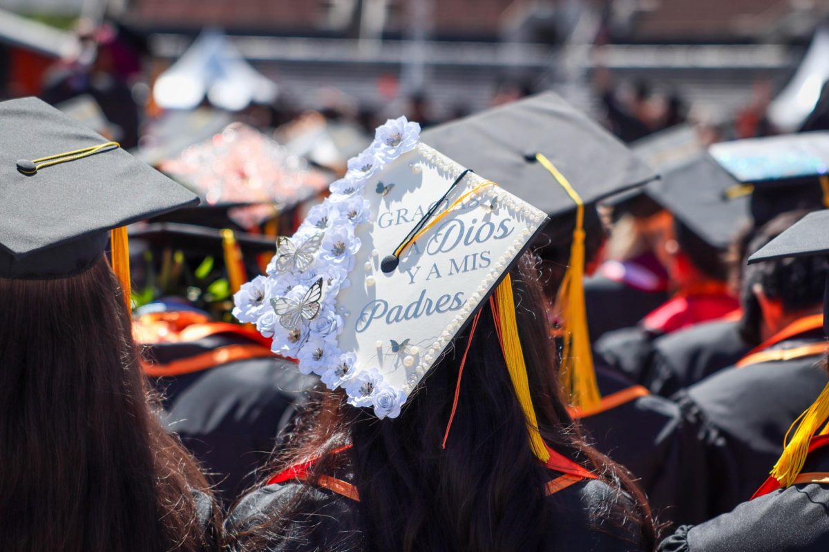 The back of a graduate's decorated cap.