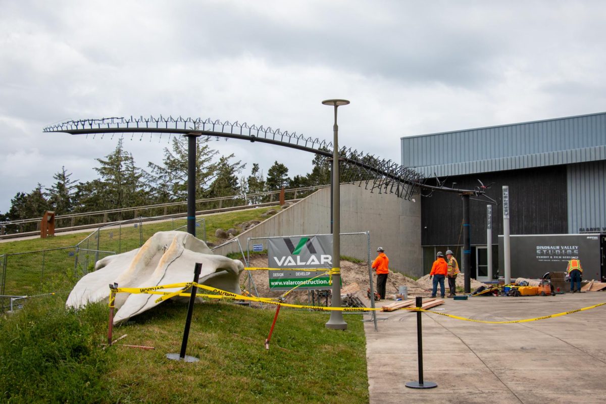 Construction at the Hatfield Marine Science Center on May 15 featured the skull of a blue whale skeleton. The complete skeleton will be displayed outside the Gladys Valley Marine Studies Building and will total 70 feet in length.