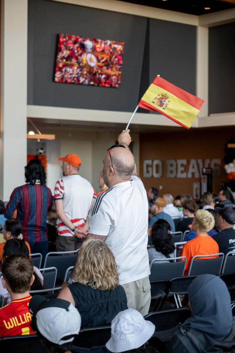 Person waves a flag
