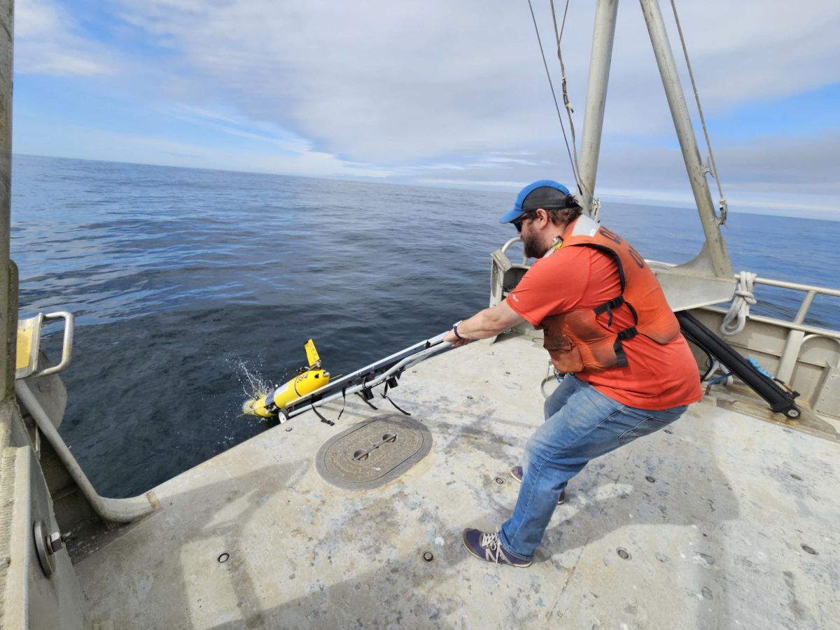 OSU researchers redeploy an underwater glider on July 2. This glider is the first of four to be
redeployed after the equipment was pulled out of the water in June following the National
Science Foundation’s descoping of the project. Photo taken by Scarlett Arbuckle.