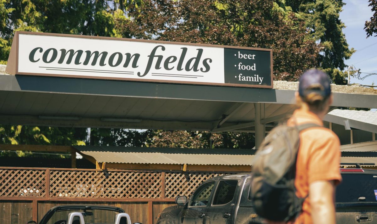 A passerby is captured walking by Common Fields on 3rd St. in downtown Corvallis.
The Corvallis Celtic Festival will be held both here and on 2nd St. between Madison and
Jefferson from Thursday, July 16 through Sunday, July 19, and will host live music as
well as workshops for playing instruments, singing and dancing.